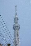 Dcim11284/DSC_0872