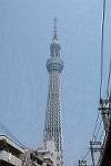 Dcim11284/DSC_0876