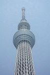 Dcim11284/DSC_0894