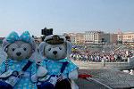 Dcim11287/DSC_0034