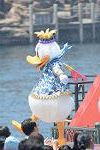 Dcim11289/DSC_1517