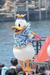 Dcim11289/DSC_1524