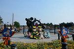 Dcim11293/DSC_2078
