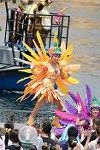 Dcim11296/DSC_2504