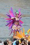 Dcim11296/DSC_2538