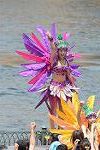 Dcim11296/DSC_2540