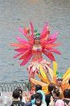 Dcim11297/DSC_2597