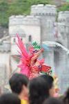 Dcim11302/DSC_3195