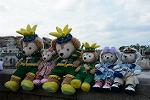 Dcim11305/DSC_3575