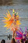 Dcim11305/DSC_3595