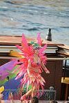 Dcim11307/DSC_3797