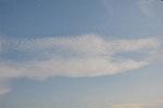 Dcim11308/DSC_3986