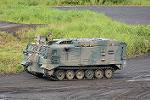Dcim11313/DSC_4279