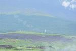 Dcim11314/DSC_4433