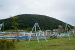Dcim11324/DSC_5734