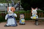 Dcim11324/DSC_5839