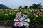 Dcim11325/DSC_5858