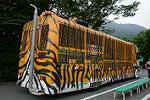 Dcim11334/DSC_6937