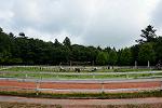 Dcim11334/DSC_6976