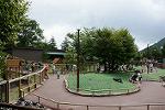Dcim11334/DSC_6977
