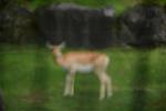 Dcim11340/DSC_7751