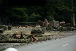 Dcim11341/DSC_7926