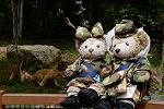 Dcim11343/DSC_8185
