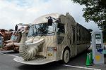 Dcim11346/DSC_8589