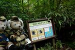 Dcim11346/DSC_8612