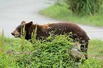 Dcim11347/DSC_8658