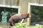 Dcim11347/DSC_8711