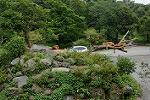 Dcim11348/DSC_8784