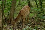 Dcim11350/DSC_9131
