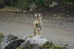 Dcim11351/DSC_9226
