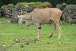 Dcim11351/DSC_9256