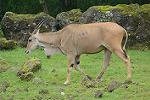 Dcim11351/DSC_9262