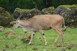 Dcim11351/DSC_9264