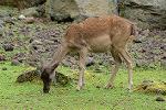Dcim11353/DSC_9493