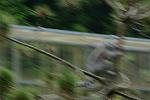 Dcim11355/DSC_9753