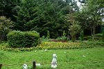Dcim11355/DSC_9772