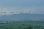 Dcim11366/DSC_1093