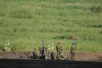 Dcim11369/DSC_1353