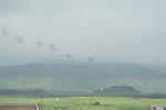 Dcim11369/DSC_1485