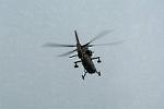 Dcim11373/DSC_2134