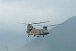 Dcim11374/DSC_2207