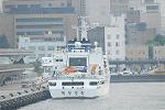 Dcim11379/DSC_0536