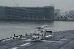 Dcim11381/DSC_2946