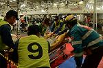Dcim11384/DSC_3396