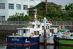 Dcim11386/DSC_3656