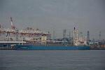 Dcim11387/DSC_3891